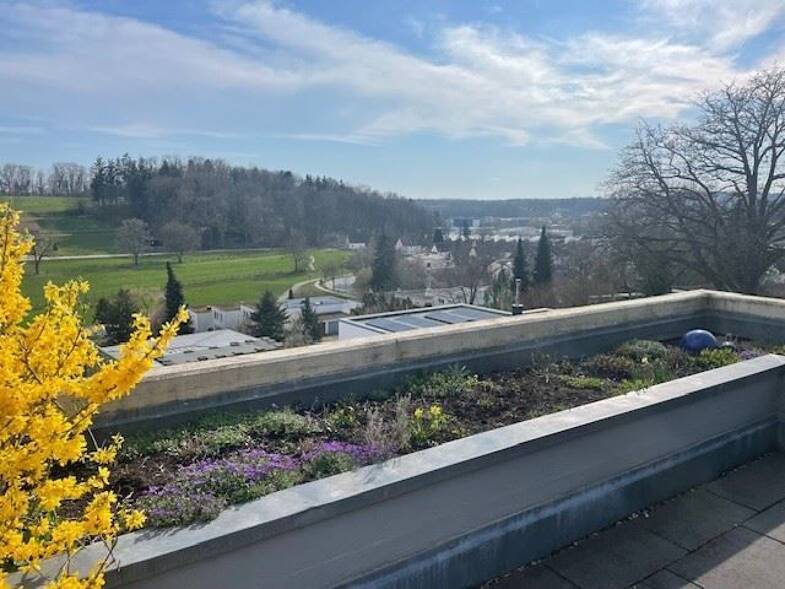 Terrassenwohnung zum Kauf 395.000 € 4 Zimmer 127,5 m² 3. Geschoss frei ab 01.08.2026 Biberach Biberach an der Riß 88400
