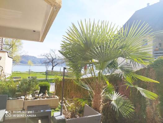 Terrassenwohnung zur Miete 950 € 1 Zimmer 43 m² Geschoss EG/2 frei ab 01.09.2026 Bodman Bodman-Ludwigshafen 78351