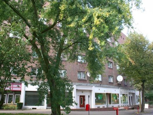 Bürofläche zur Miete 1.080 € 65,1 m² Bürofläche Sieldeich 50 Veddel Hamburg 20539