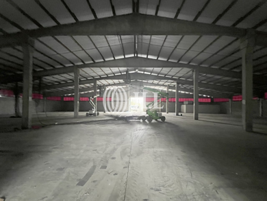 Lagerhalle zur Miete 24.847 m² Lagerfläche Bürgerhaus Eich 2 Andernach 56626