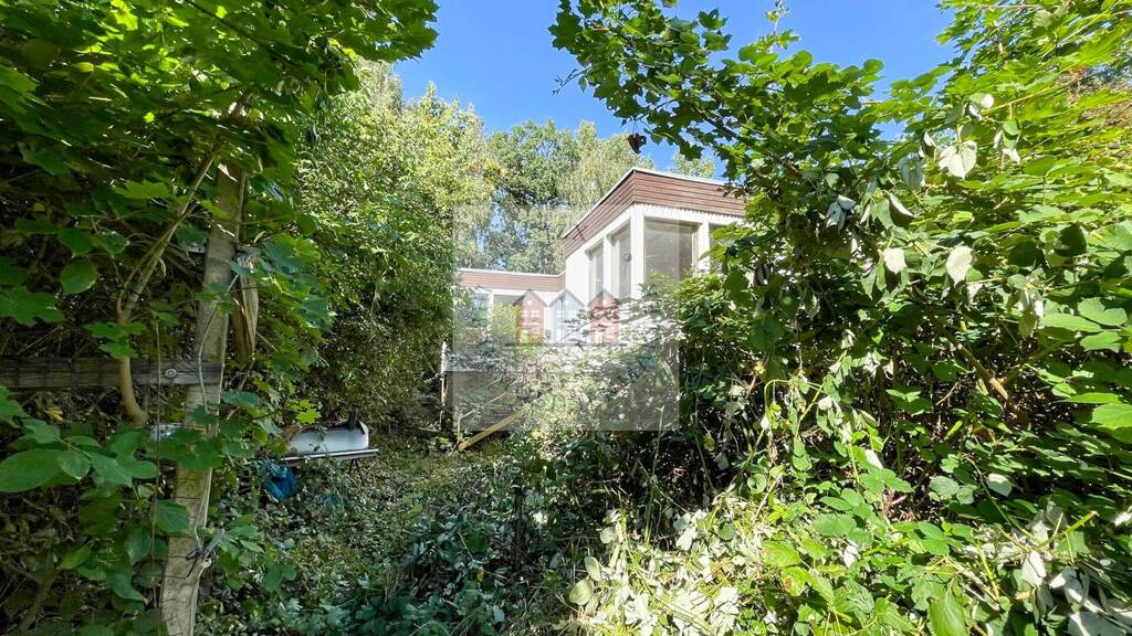 Einfamilienhaus zum Kauf 369.000 € 4 Zimmer 100 m² 10.239 m² Grundstück Etzoldshain Bad Lausick 04651