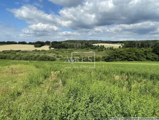 Land-/Forstwirtschaft zum Kauf 50.000 € 19.489 m² Grundstück Bad Saarow-Pieskow Bad Saarow 15526