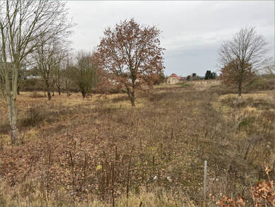 Grundstück zum Kauf 790.000 € 18.662 m² Grundstück Ostender Höhen / Freienwalderstraße Stadtmitte Eberswalde 16225