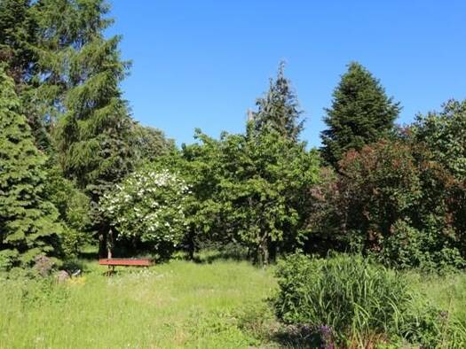 Haus zum Kauf 188.000 € 4 Zimmer 190 m² 2.785 m² Grundstück Wittenburg Wittenburg 19243