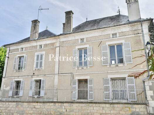 Einfamilienhaus zum Kauf 280.000 € 11 Zimmer 310 m² 2.128 m² Grundstück Charentenay 89580