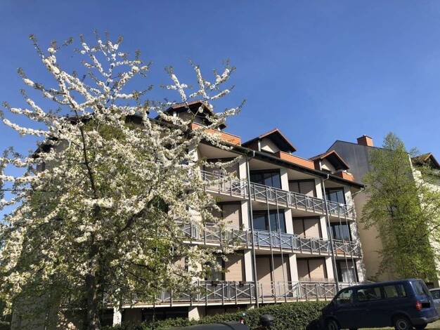 Wohnung zur Miete 550 € 2 Zimmer 45 m² 1. Geschoss Grenzborn 4 Gießen Gießen 35392