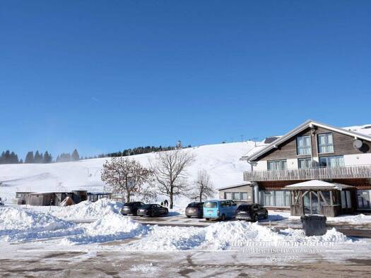 Wohnung zum Kauf 485.000 € 4 Zimmer 118 m² 3 Geschosse frei ab 01.04.2026 Feldberg 79868