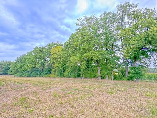 Jagdrevier zum Kauf 69.000 € 43.185 m² 43.185 m² Grundstück Groß Gottschow Plattenburg 19339
