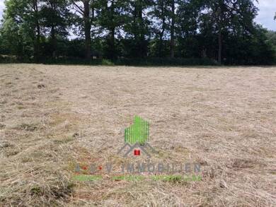 Grundstück zur Miete 600 € 17.000 m² Grundstück Ostrhauderfehn Ostrhauderfehn 26842