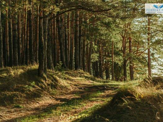 Land-/Forstwirtschaft zum Kauf 51.030 m² Grundstück Arzl im Pitztal 6471