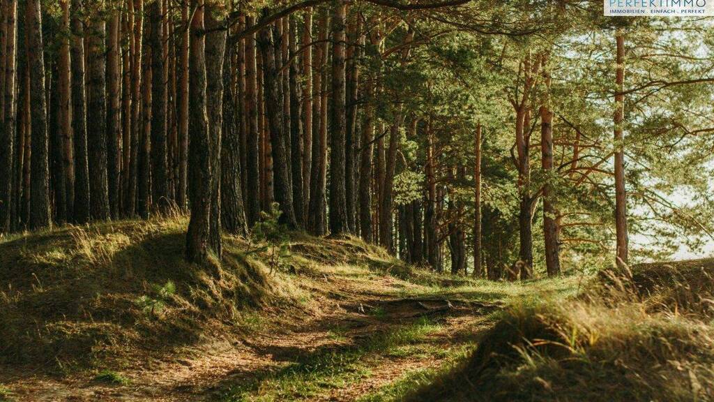 Land-/Forstwirtschaft zum Kauf 51.030 m² Grundstück Arzl im Pitztal 6471