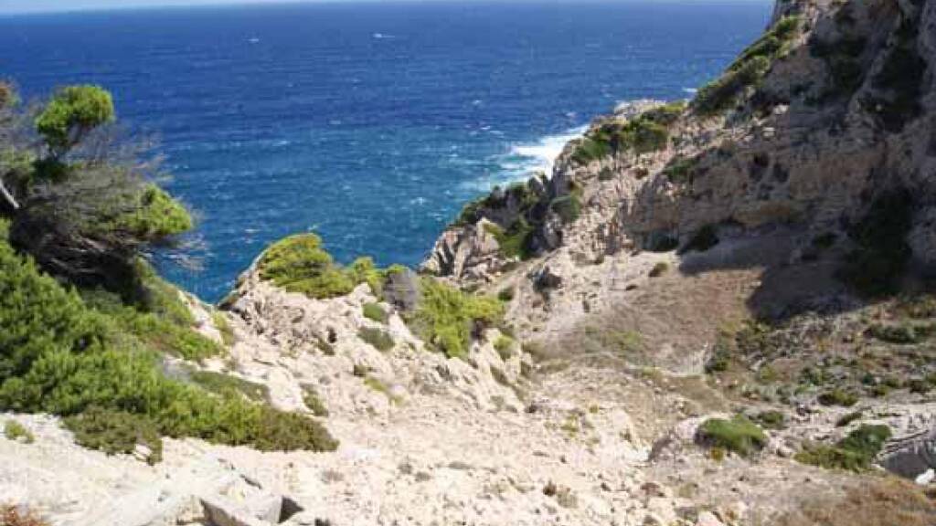 Grundstück zum Kauf 1.100.000 € 845 m² Grundstück Cala Ratjada 07590