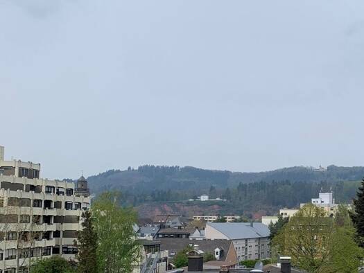 Wohnung zur Miete 670 € 2 Zimmer 63 m² Geschoss 2/3 frei ab 01.01.2027 Trier-Nord Trier 54292