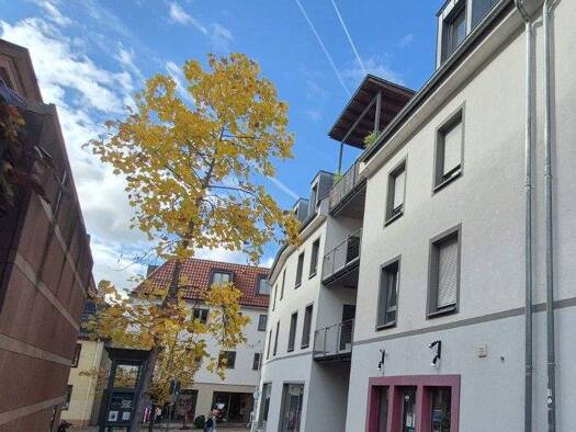 Wohnung zur Miete 1.100 € 4 Zimmer 121 m² 2. Geschoss frei ab 01.12.2025 Kirchgasse 1 Marktheidenfeld 97828
