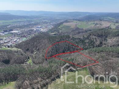 Land-/Forstwirtschaft zum Kauf 34.900 € 48.704 m² Grundstück Uhlstädt Uhlstädt-Kirchhasel 07407