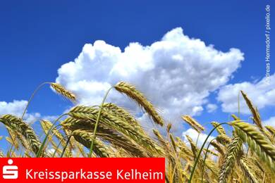 Landwirtschaftliche Fläche zum Kauf 142.000 € 14.340 m² Grundstück Allhofen Kirchdorf 93348