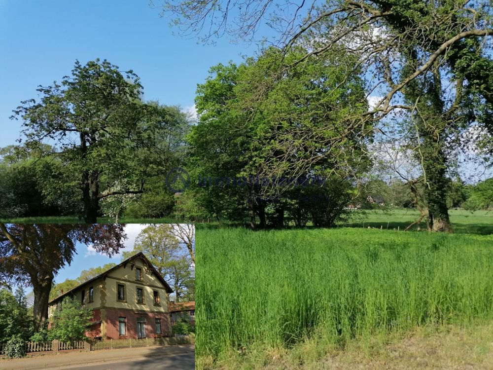 Mehrfamilienhaus zum Kauf 750.000 € 17 Zimmer 430 m²<br/>Wohnfläche 10.860 m²<br/>Grundstück Hesedorf Gyhum / Hesedorf bei Gyhum 27404