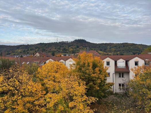 Wohnung zur Miete 790 € 2 Zimmer 58 m² frei ab sofort Weinheim 69469