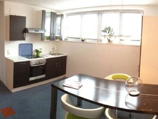 Wohnung zur Miete 330 € 1 Zimmer 29 m² EG Singen Remchingen 75196