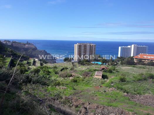 Grundstück zum Kauf provisionsfrei 6.500.000 € 15.980 m² Grundstück Teneriffa 38417