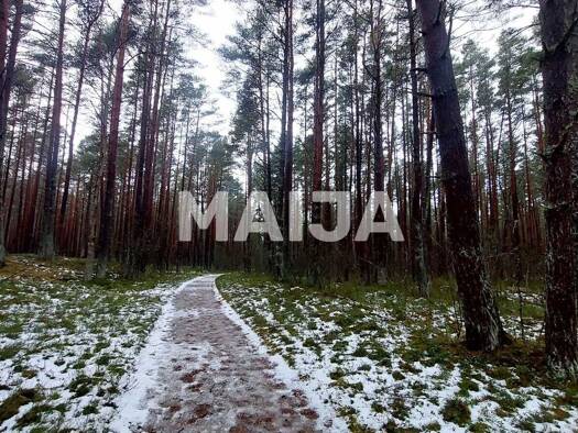 Grundstück zum Kauf 29.000 € 5.570 m² Grundstück Lapmezciems 3118