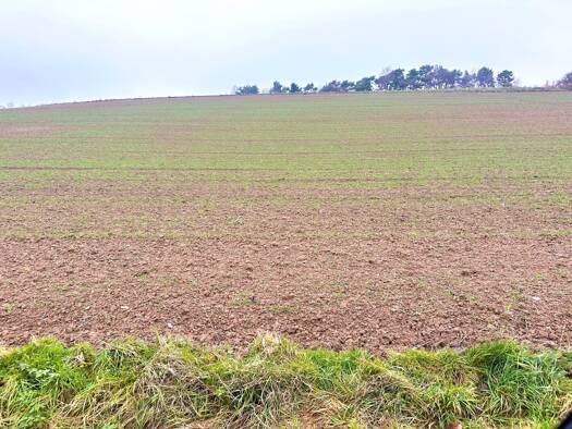 Landwirtschaftliche Fläche zum Kauf 670.000 € 680.370 m² 680.370 m² Grundstück Nitz 56729