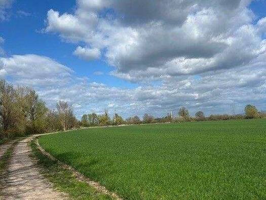 Land-/Forstwirtschaft zum Kauf provisionsfrei Kehl 77694