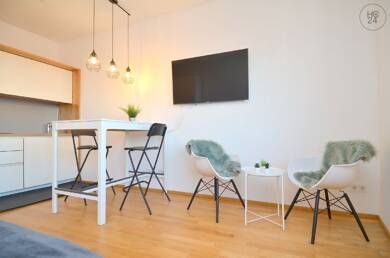 Wohnung zur Miete Wohnen auf Zeit 1.175 € 1 Zimmer 30 m² frei ab 01.07.2025 Donaubastion Ulm 89077