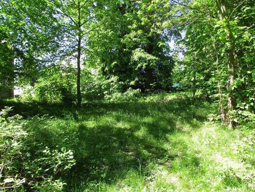 Grundstück zum Kauf 19.000 € 4.882 m² Grundstück Annaberg Annaberg-Buchholz 09456
