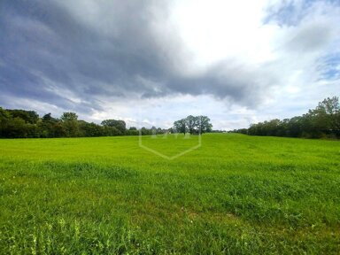 Landwirtschaftliche Fläche zum Kauf 770.000 € 48.138 m² Grundstück Meckenheim Meckenheim 53340