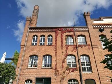 Wohnung zum Kauf provisionsfrei 464.400 € 4 Zimmer 136 m² 2. Geschoss frei ab sofort Amsdorf Seegebiet Mansfelder Land 06317