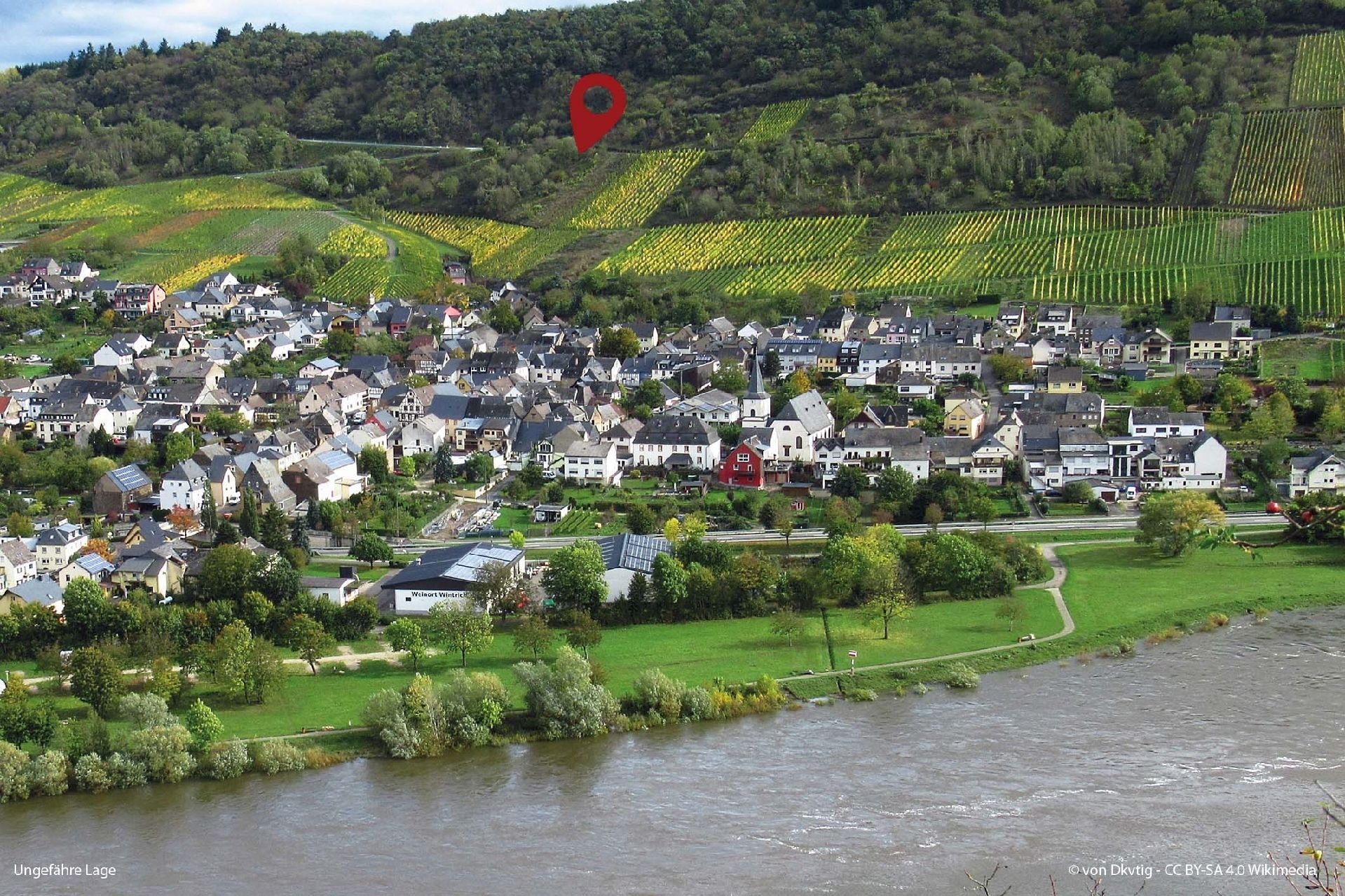 Grundstück zum Kauf 1.900 € 1.601 m²<br/>Grundstück Am Heckpfad Wintrich 54487