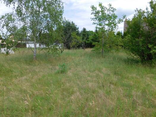 Grundstück zum Kauf 28.500 € 1.212 m² Grundstück Lodenau Rothenburg/Oberlausitz 02929