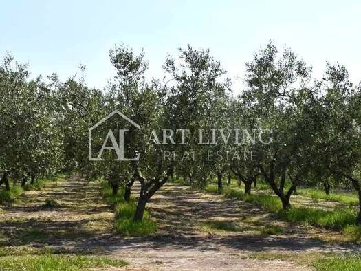 Acker-/Waldstück zum Kauf 497.000 € Novigrad Novigrad 52466