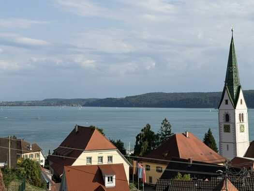 Gastronomie/Hotel zum Kauf 1.380.000 € Sipplingen 78354