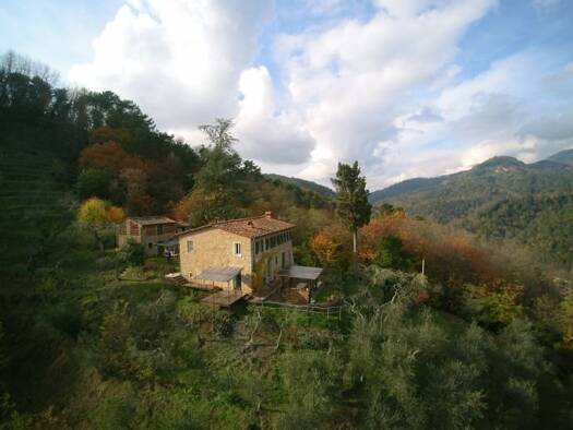 Bauernhaus zum Kauf 800.000 € 140 m² 60.000 m² Grundstück frei ab sofort Camaiore 55041
