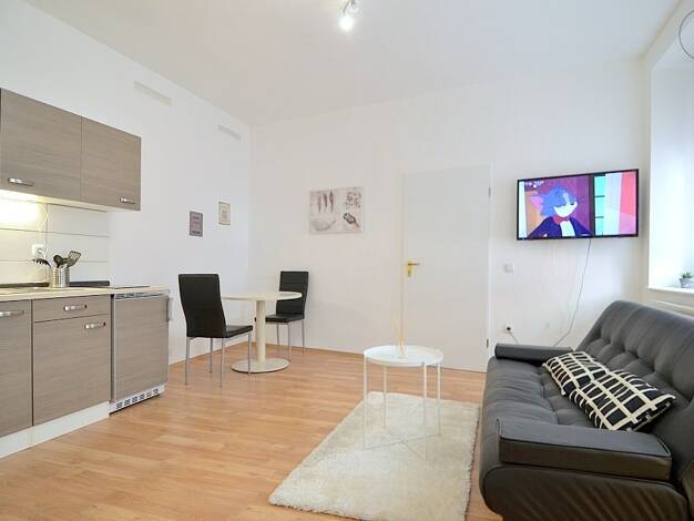 Wohnung zur Miete auf Zeit 895 € 2 Zimmer 45 m² frei ab 01.11.2026 Südstadt Fürth 90763