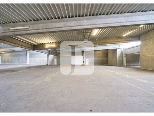 Lagerhalle zur Miete 700 m² Lagerfläche Buxtehude 21614