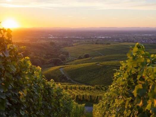 Hotel zur Miete 25.000 € Baden-Baden 76530