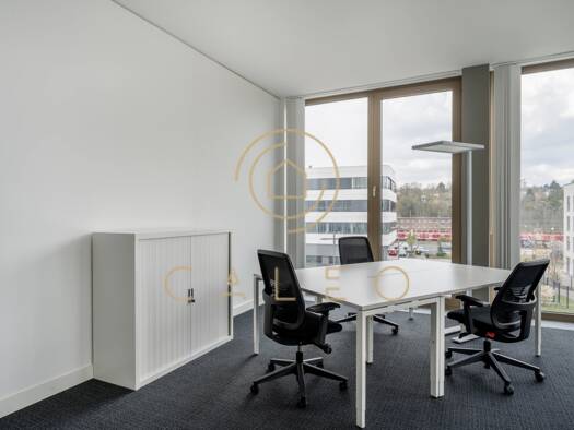 Bürofläche zur Miete provisionsfrei 45 m² Bürofläche teilbar ab 1 m² Wiesbaden Wiesbaden 65189