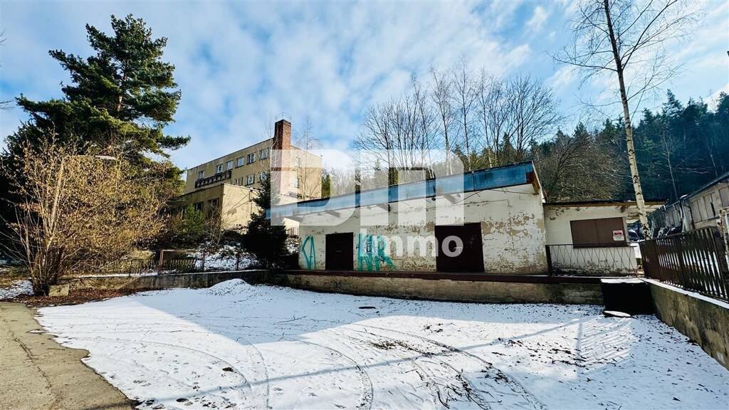 Lagerhalle zum Kauf 99.000 € 4.310,7 m² Lagerfläche Reichenfels Hohenleuben 07958