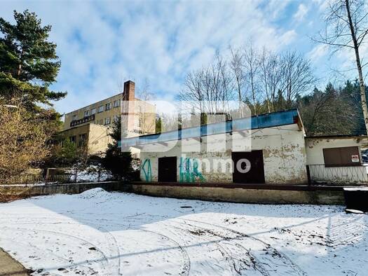 Lagerhalle zum Kauf 99.000 € 4.310,7 m² Lagerfläche Reichenfels Hohenleuben 07958
