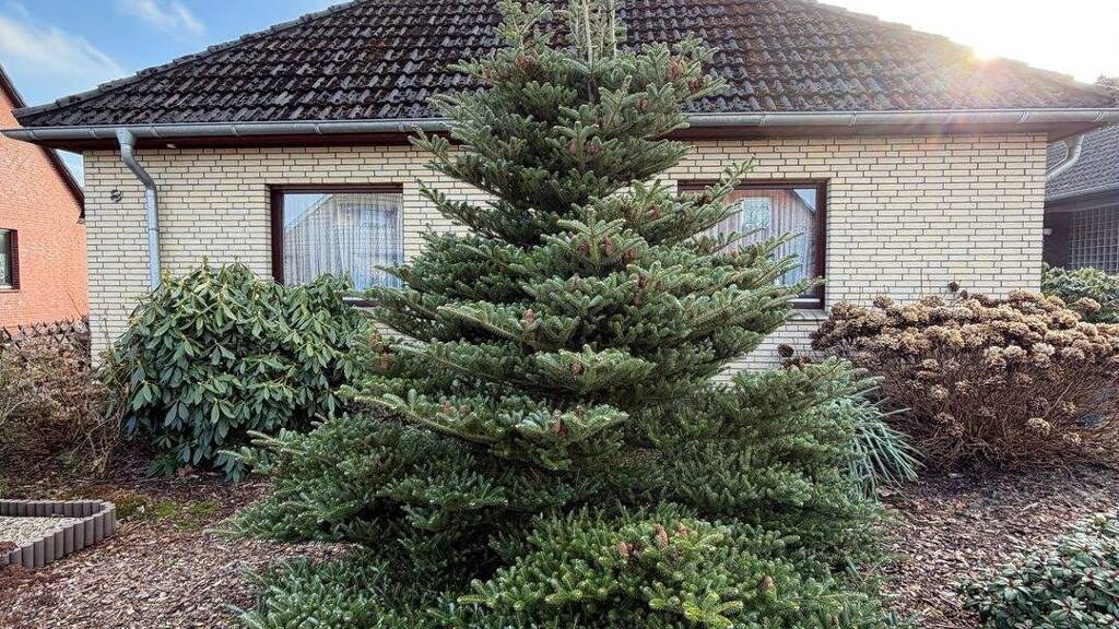 Einfamilienhaus zum Kauf 359.000 € 5 Zimmer 174,6 m² 609 m² Grundstück frei ab sofort Von-Kleist-Straße 8 Altenwalde Cuxhaven 27478