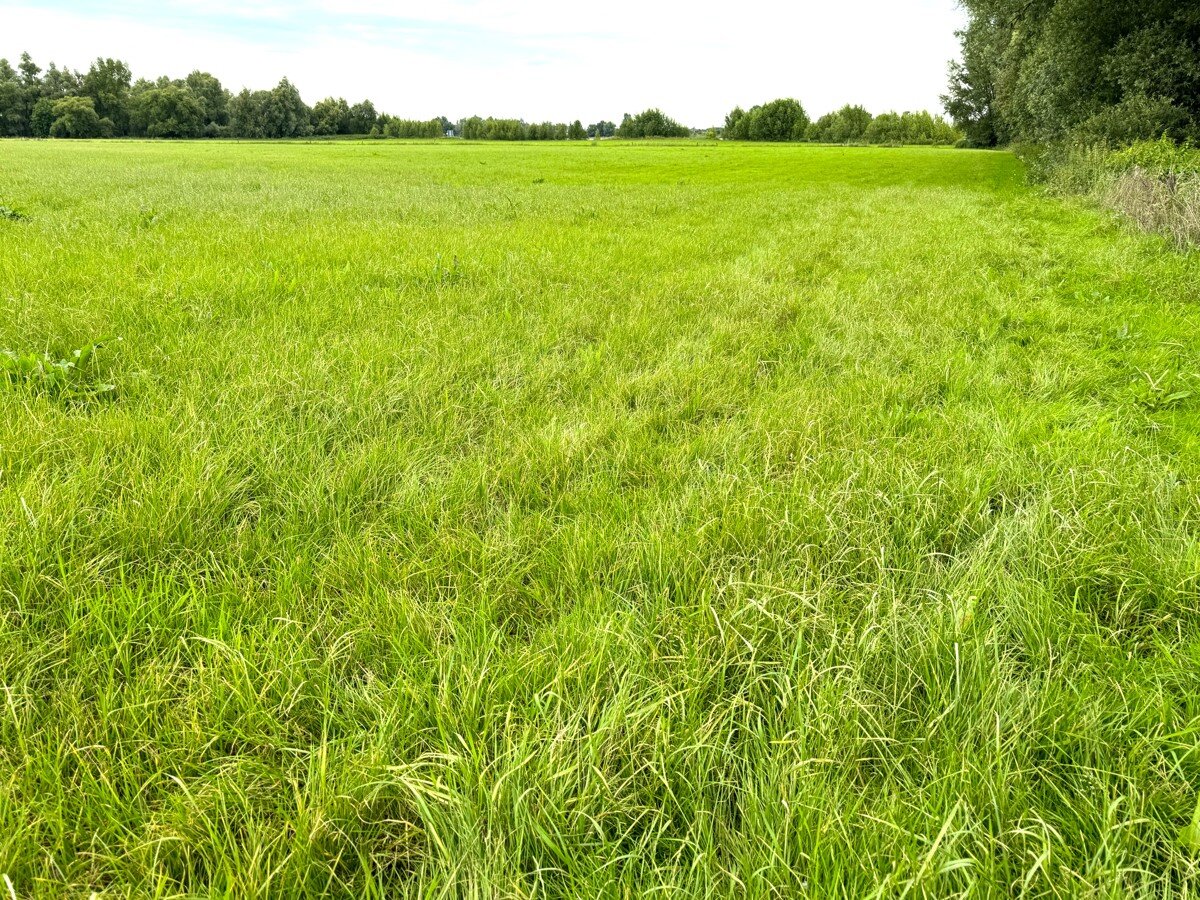 Land-/Forstwirtschaft zum Kauf 48.533 m²<br/>Grundstück Bylerward Kalkar 47546