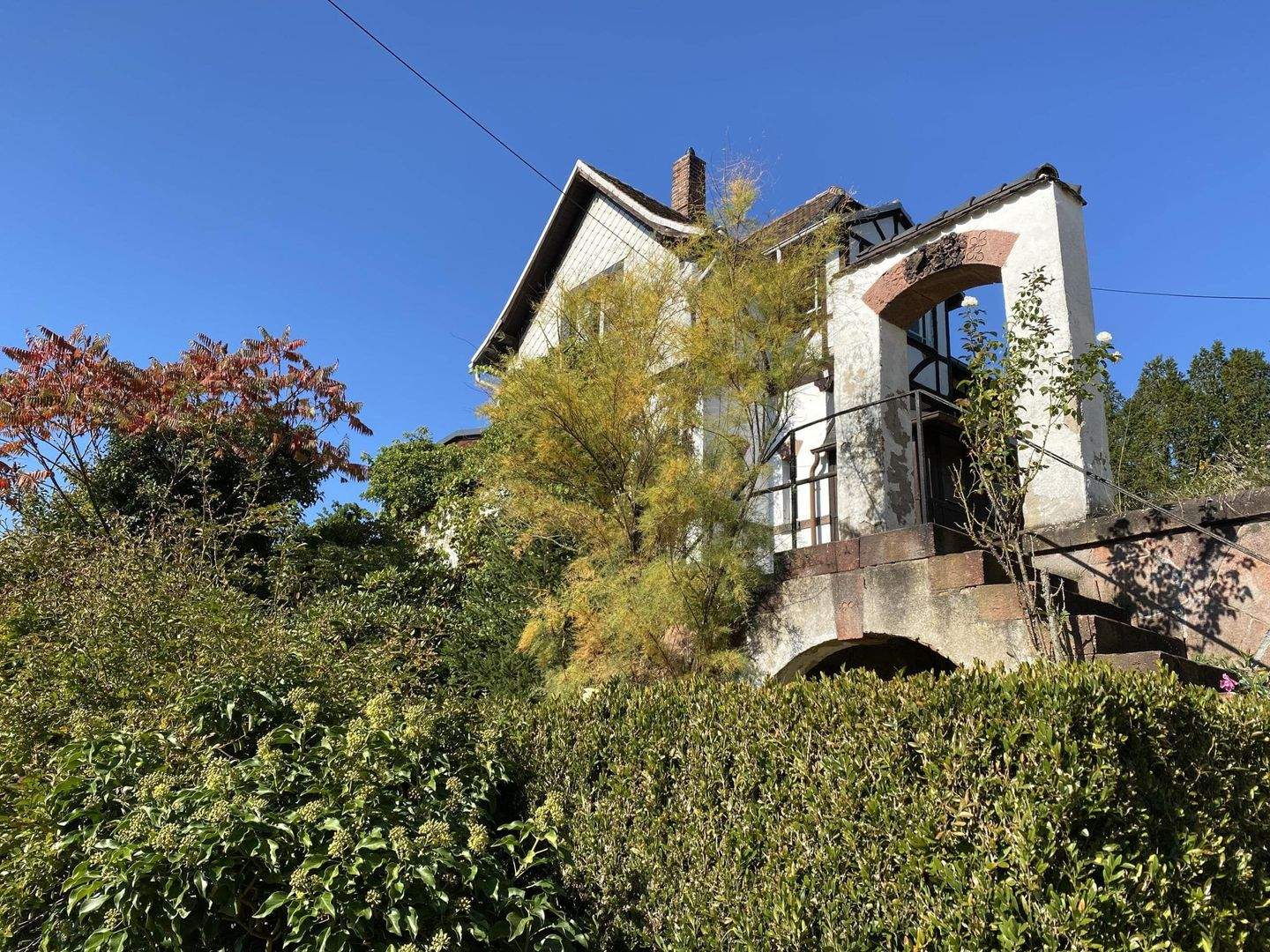 Immobilie in Wechselburg - Etwas ganz Besonderes erwartet Sie... - Bild 4