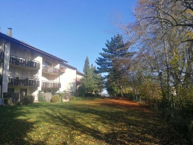 Terrassenwohnung zum Kauf provisionsfrei 229.000 € 2 Zimmer 60 m² frei ab sofort Professor-Wurm-Straße 4 Höchenschwand Höchenschwand 79862
