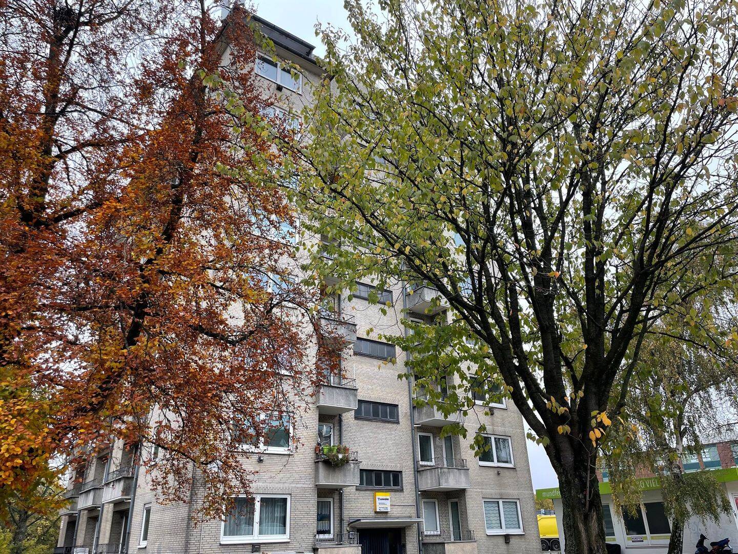Wohnung zur Miete