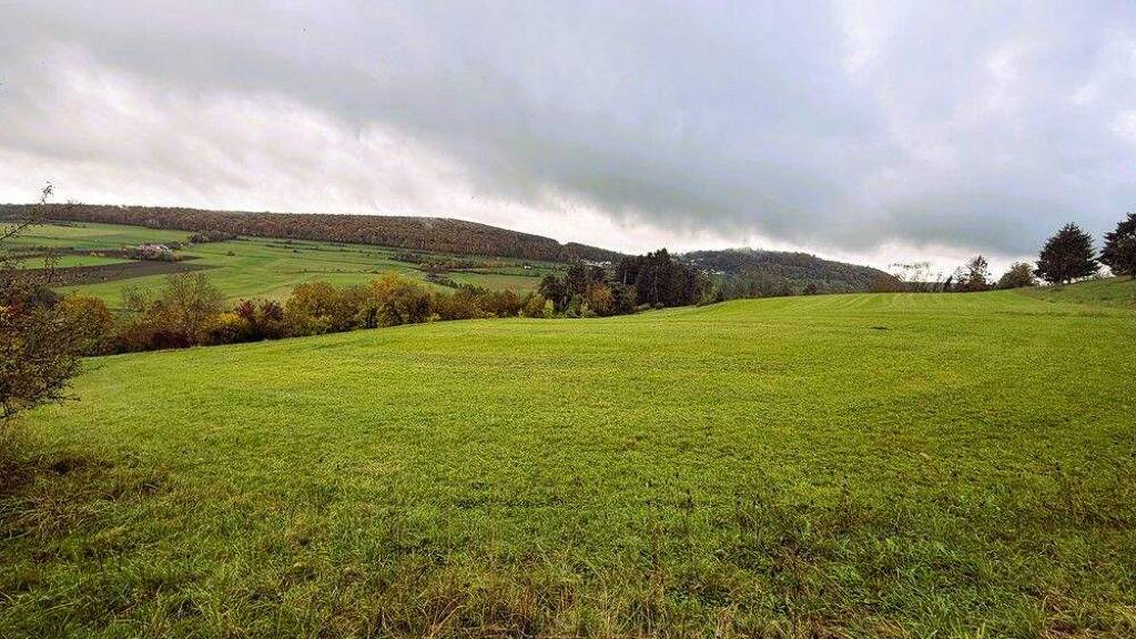 Gewerbegrundstück zum Kauf 14.878 € 2.705 m² Grundstück Oberhochstatt Weißenburg Oberhochstatt 91781