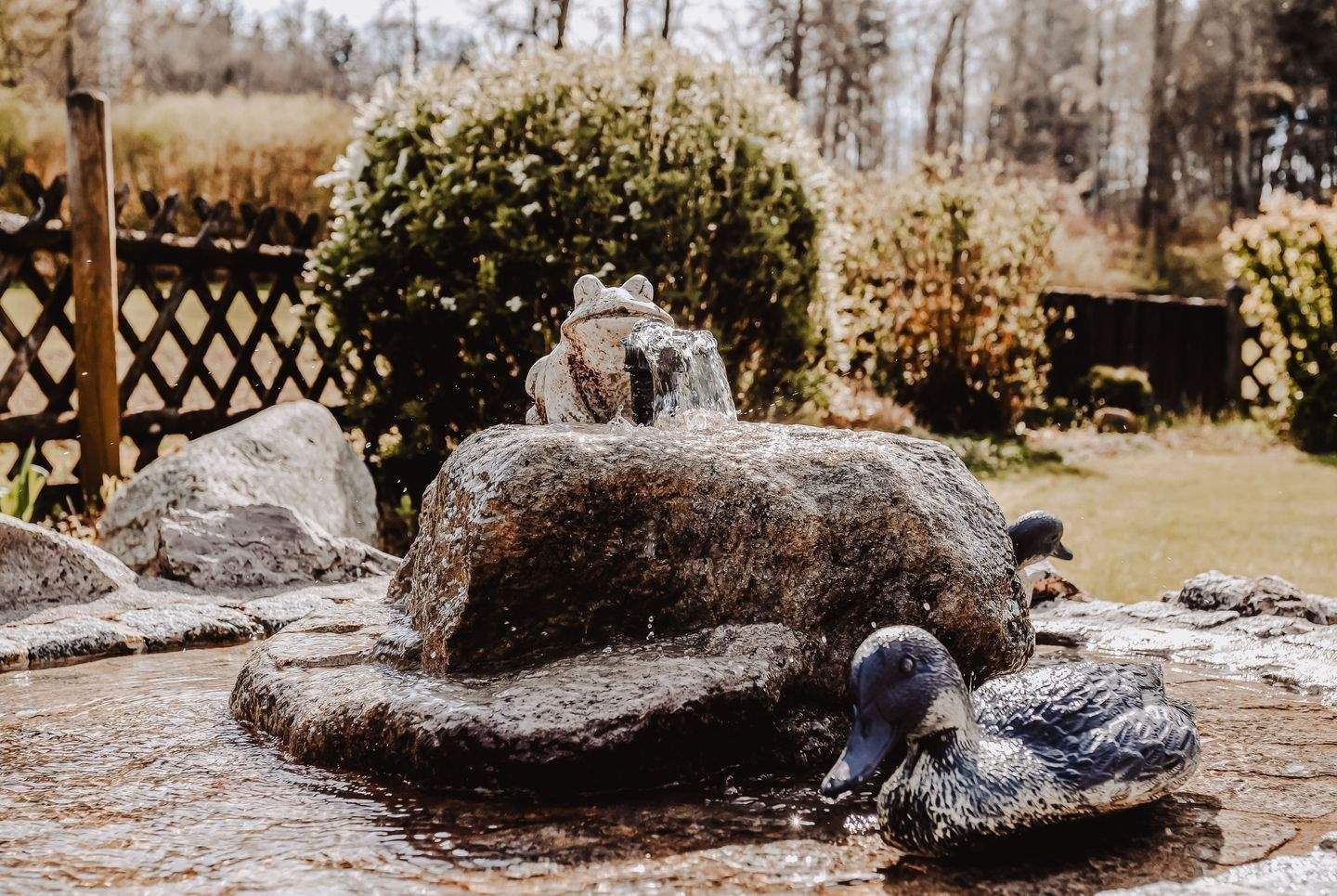 Immobilie in Pfullendorf - Ihre drei Optionen für ein nachhaltig-genussvolles Leben auf dem Land - Bild 4