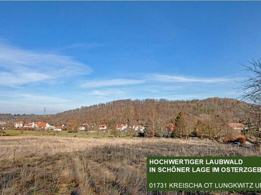 Forstwirtschaft zum Kauf 65.000 € 58.294 m² Grundstück Am Eichberg Kreischa Kreischa 01731
